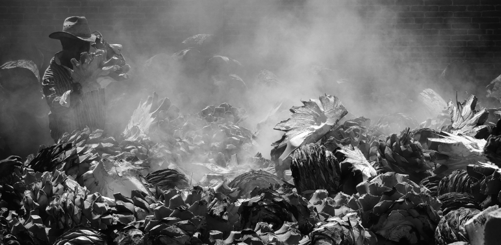 Hombre alimentando horno de piedra de mezcal artesanal