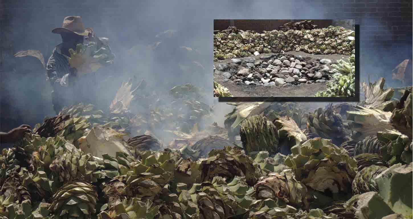 cocimiento en horno de piedra del mejor mezcal