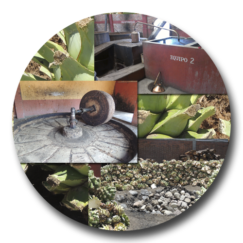 Proceso artesanal del mejor mezcal
