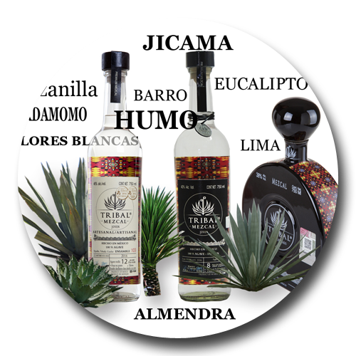 sabores del ensamble de agaves