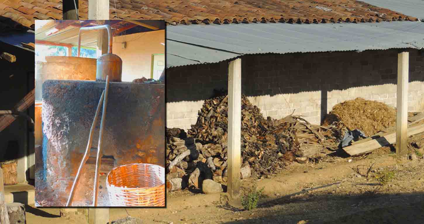 artisanal distillation for the best mezcal