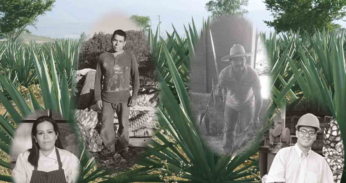 the best mezcal history picture